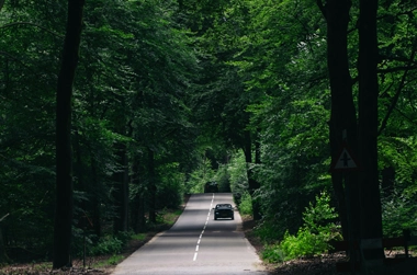 Navigating the countryside roads