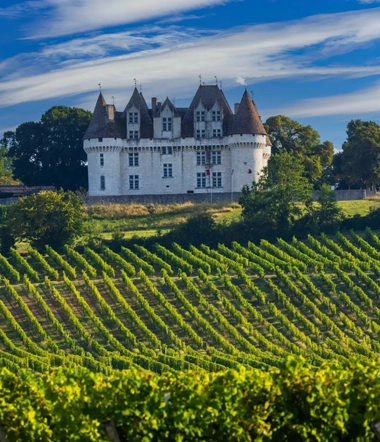 Vineyards of bergerac and monbazillac